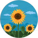 Virginie S. profile picture
